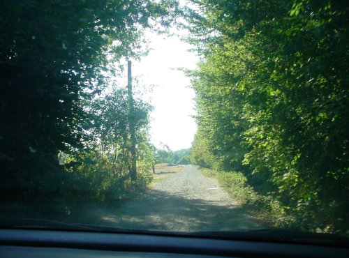 Landschaft