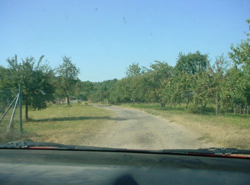 auf dem Weg