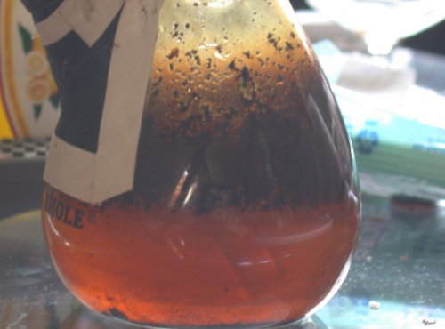 Bong