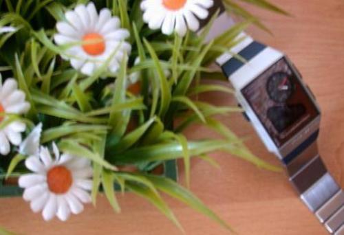 Plastikblumen mit Uhr